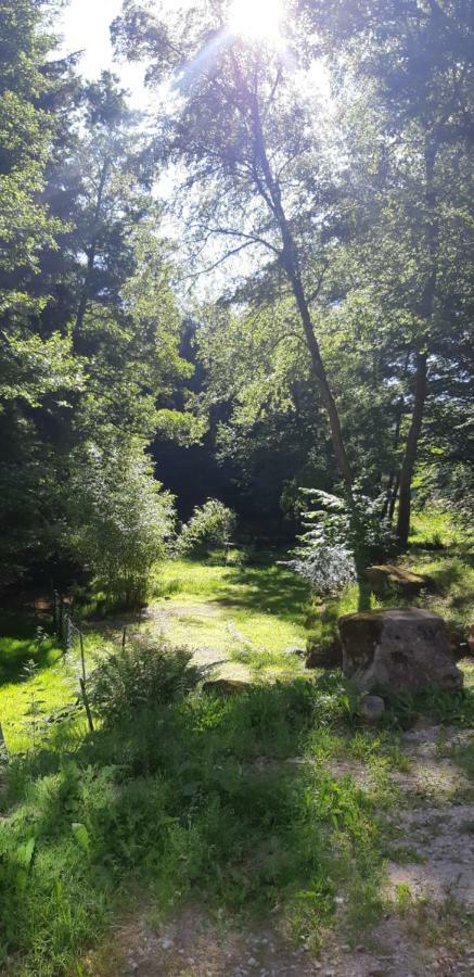 Gite De La Baerenbach Haselbourg Εξωτερικό φωτογραφία